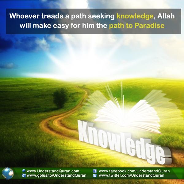 understand-quran-pursuit-of-knowledge-iou