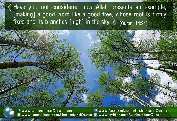 understand-quran-best-investment