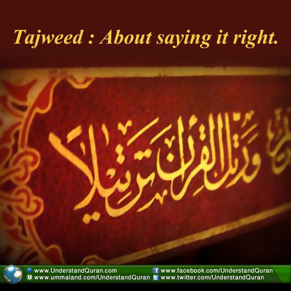 understand-quran-learn-tajweed-beautify-quran