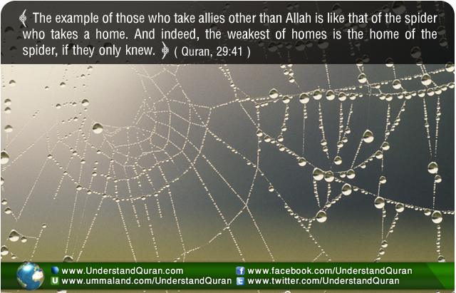 the-spider-in-the-quran-understand-quran-online-understand-al-qur