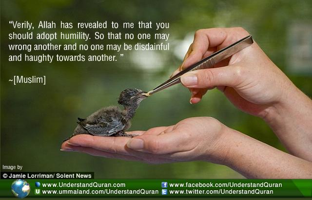 inspirationverilyallahhasrevealedtome_humility