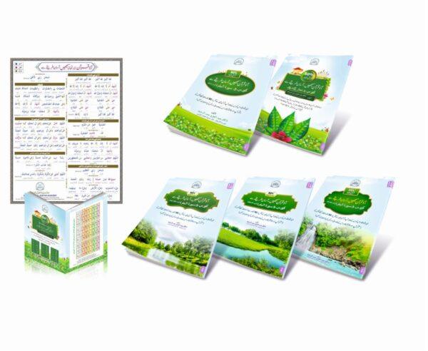 Understand Qur'an C1 to C5 : (Urdu) Book-set