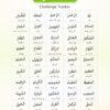 Ramadan Tutor (pack of 3) Urdu - Image 5